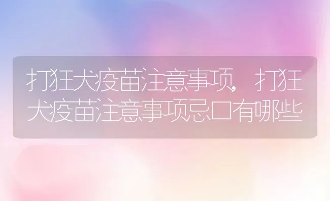 打狂犬疫苗注意事项,打狂犬疫苗注意事项忌口有哪些 | 宠物百科知识