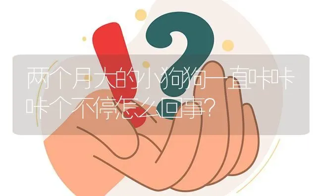 两个月大的小狗狗一直咔咔咔个不停怎么回事？ | 动物养殖问答