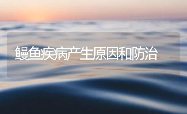 鳗鱼疾病产生原因和防治 | 海水养殖技术