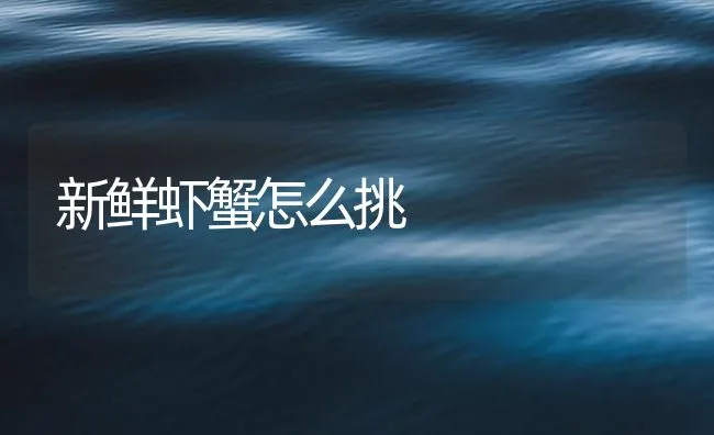 新鲜虾蟹怎么挑 | 海水养殖技术