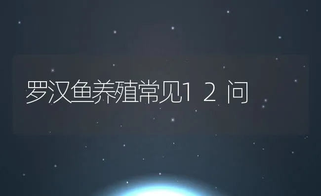 罗汉鱼养殖常见12问 | 动物养殖饲料