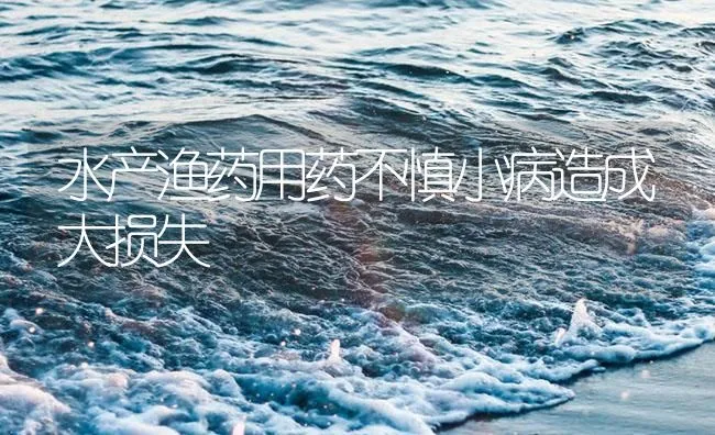 水产渔药用药不慎小病造成大损失 | 海水养殖技术