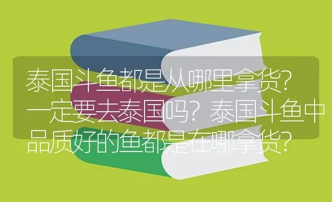 泰国斗鱼都是从哪里拿货？一定要去泰国吗？泰国斗鱼中品质好的鱼都是在哪拿货？ | 鱼类宠物饲养