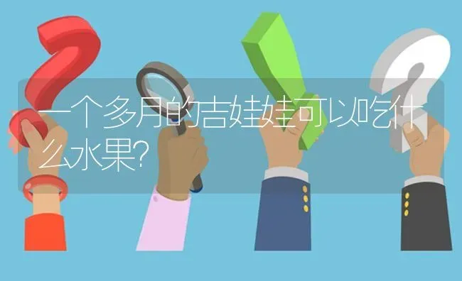 一个多月的吉娃娃可以吃什么水果？ | 动物养殖问答