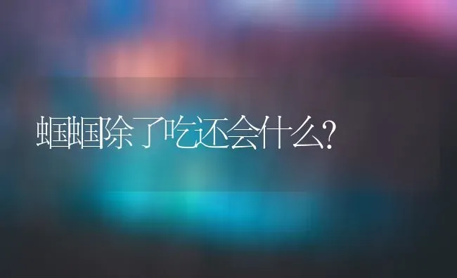 蝈蝈除了吃还会什么？ | 动物养殖问答