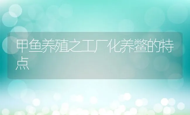 甲鱼养殖之工厂化养鳖的特点 | 动物养殖饲料