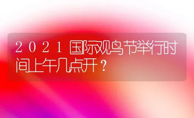 2021国际观鸟节举行时间上午几点开？ | 动物养殖问答