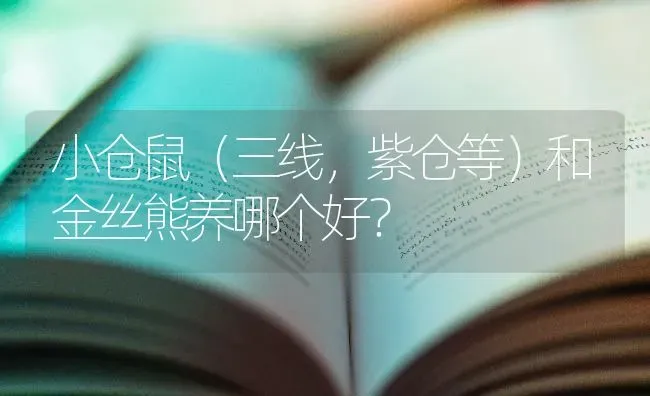 养猫会不会有很多细菌？ | 动物养殖问答