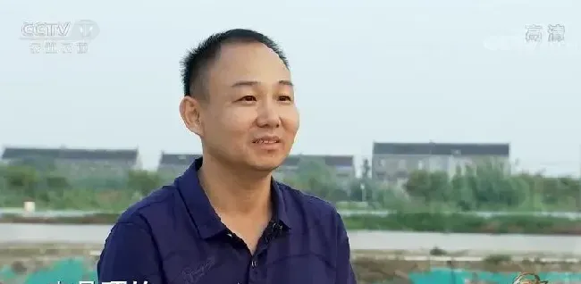 余承波把劣势变优点 养殖螃蟹干净更赚钱
