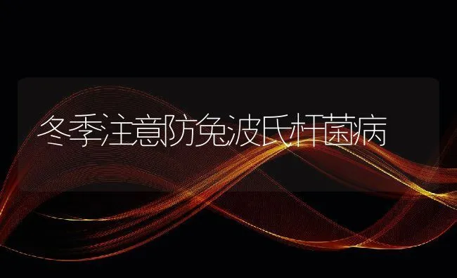 冬季注意防兔波氏杆菌病 | 水产养殖知识