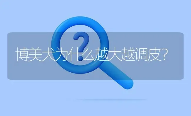 博美犬为什么越大越调皮？ | 动物养殖问答