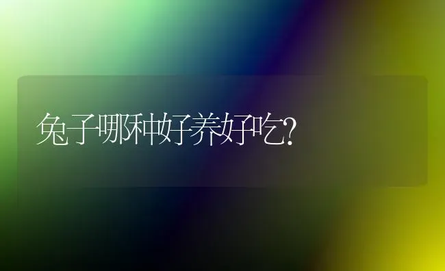 兔子哪种好养好吃？ | 动物养殖问答