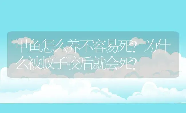 甲鱼怎么养不容易死?为什么被蚊子咬后就会死? | 动物养殖百科