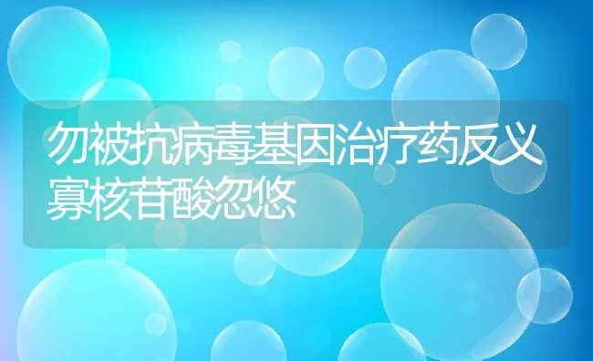 鹌鹑的繁殖和育种有哪些内容？ | 动物养殖学堂