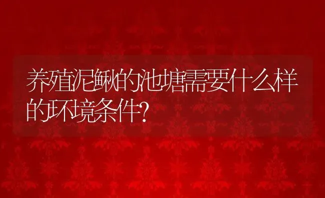 养殖泥鳅的池塘需要什么样的环境条件？ | 动物养殖百科