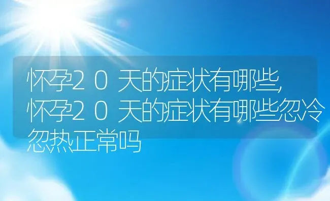 怀孕20天的症状有哪些,怀孕20天的症状有哪些忽冷忽热正常吗 | 宠物百科知识