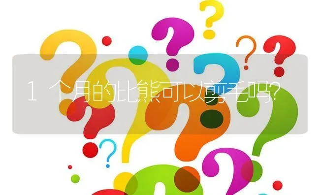 1个月的比熊可以剪毛吗？ | 动物养殖问答