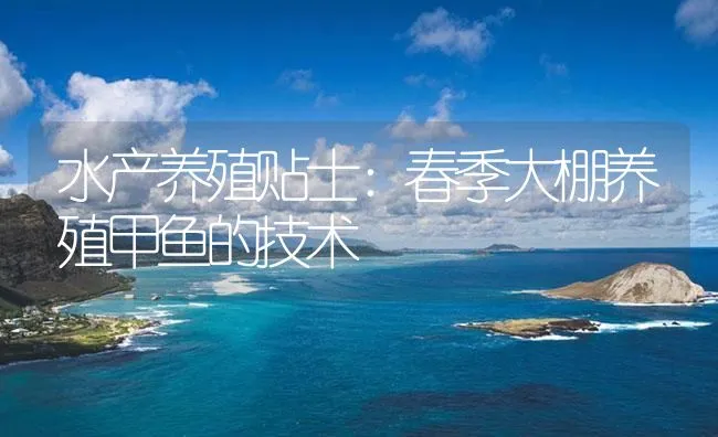 水产养殖贴士：春季大棚养殖甲鱼的技术 | 海水养殖技术