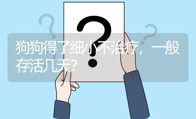 狗狗得了细小不治疗，一般存活几天？ | 动物养殖问答