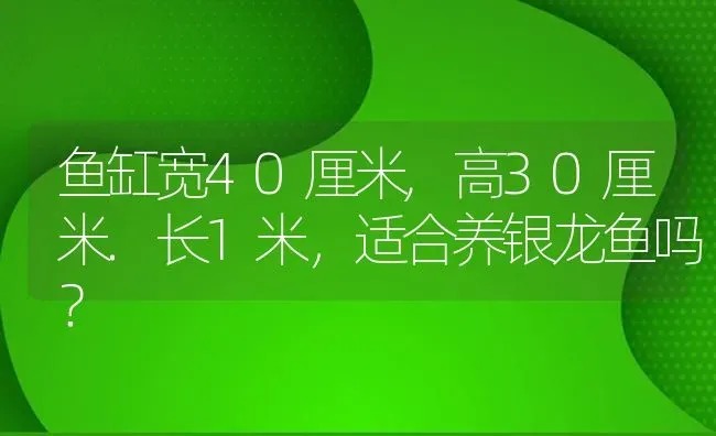 鱼缸宽40厘米,高30厘米.长1米，适合养银龙鱼吗？ | 鱼类宠物饲养