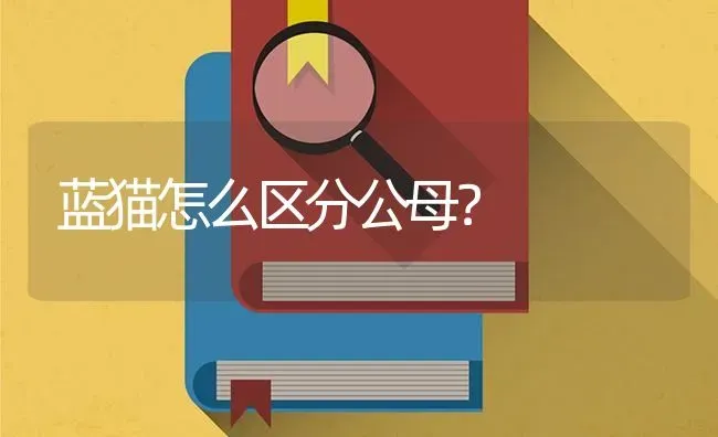 蓝猫怎么区分公母？ | 动物养殖问答