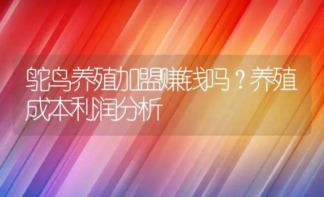 鸵鸟养殖加盟赚钱吗？养殖成本利润分析 | 动物养殖百科