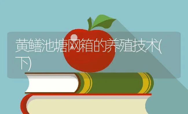 十一月兔事与兔病防治 | 动物养殖学堂