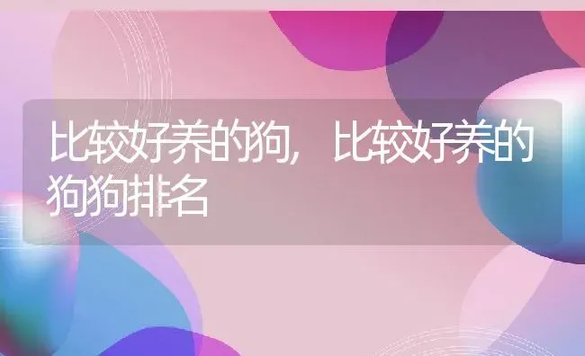 比较好养的狗,比较好养的狗狗排名 | 宠物百科知识