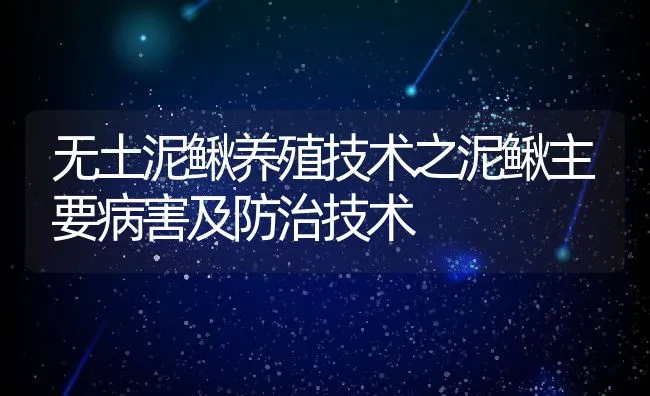 无土泥鳅养殖技术之泥鳅主要病害及防治技术 | 水产养殖知识