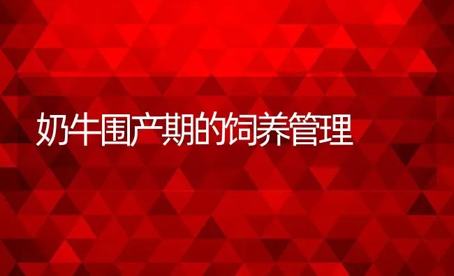 鳜鱼培育中病害综合防治方法 | 海水养殖技术