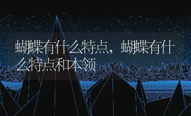 蝴蝶有什么特点,蝴蝶有什么特点和本领 | 宠物百科知识