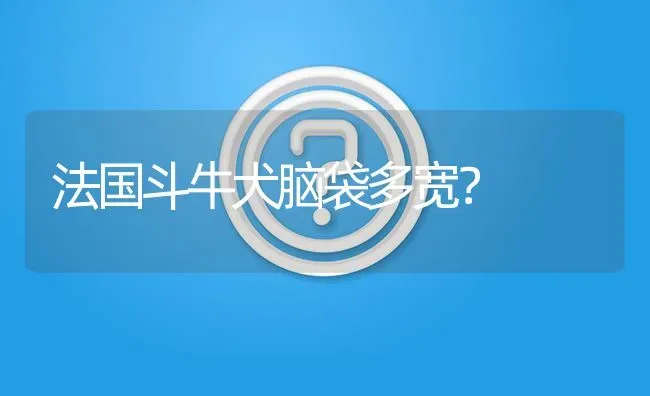 法国斗牛犬脑袋多宽？ | 动物养殖问答