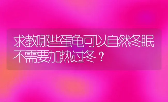 求教哪些蛋龟可以自然冬眠不需要加热过冬？ | 动物养殖问答