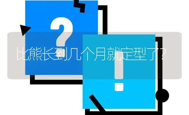 多肉吉娃娃养几年会爆崽？ | 动物养殖问答