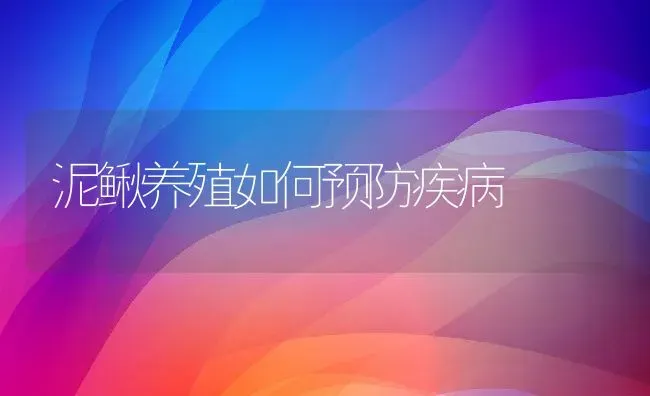 泥鳅养殖如何预防疾病 | 动物养殖百科