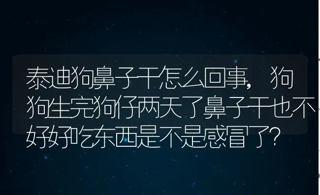 泰迪狗鼻子干怎么回事,狗狗生完狗仔两天了鼻子干也不好好吃东西是不是感冒了？ | 宠物百科知识