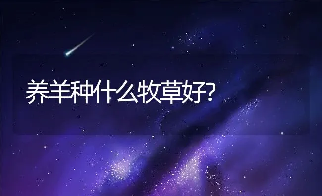 鳜鱼养殖之暴发性流行病防治技术 | 海水养殖技术