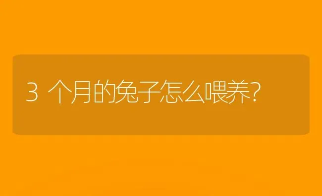 3个月的兔子怎么喂养？ | 动物养殖问答