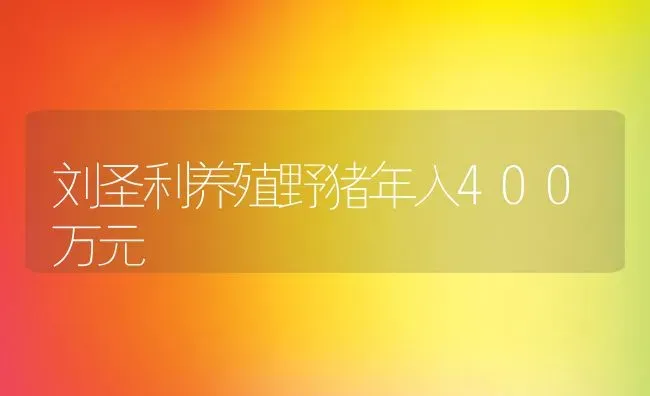 刘圣利养殖野猪年入400万元 | 动物养殖教程