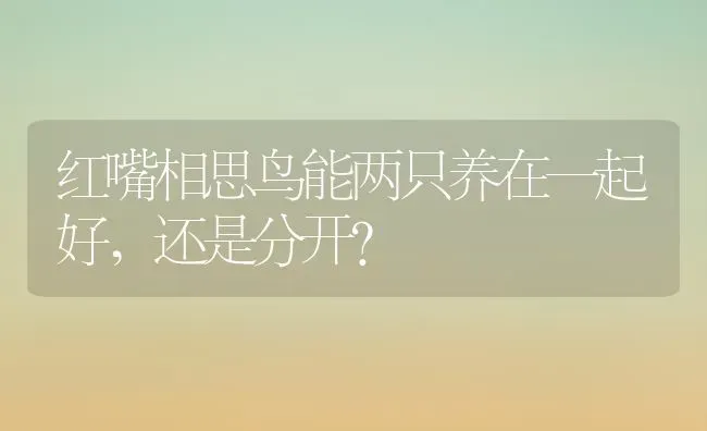 红嘴相思鸟能两只养在一起好,还是分开？ | 动物养殖问答