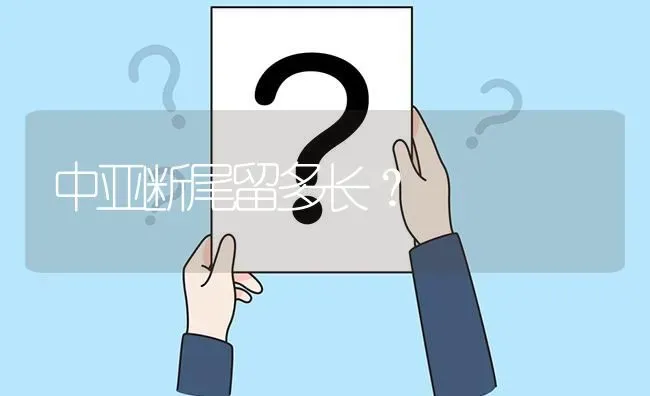 中亚断尾留多长？ | 动物养殖问答