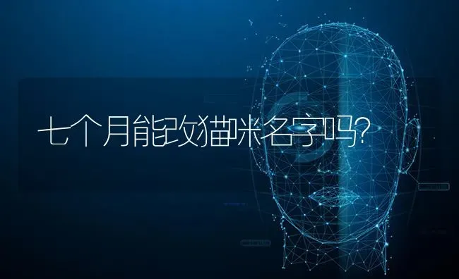 七个月能改猫咪名字吗？ | 动物养殖问答