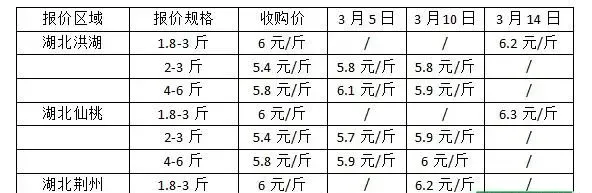 养草鱼赚钱吗？草鱼养殖前景及市场价格行情分析