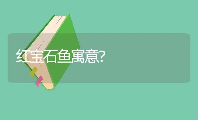 红宝石鱼寓意？ | 鱼类宠物饲养