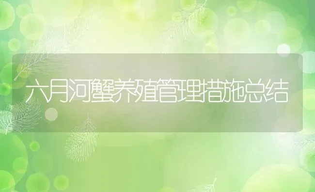 六月河蟹养殖管理措施总结 | 动物养殖百科