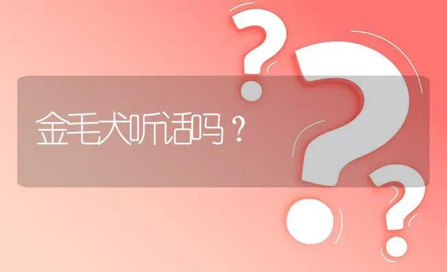 金毛犬听话吗？ | 动物养殖问答