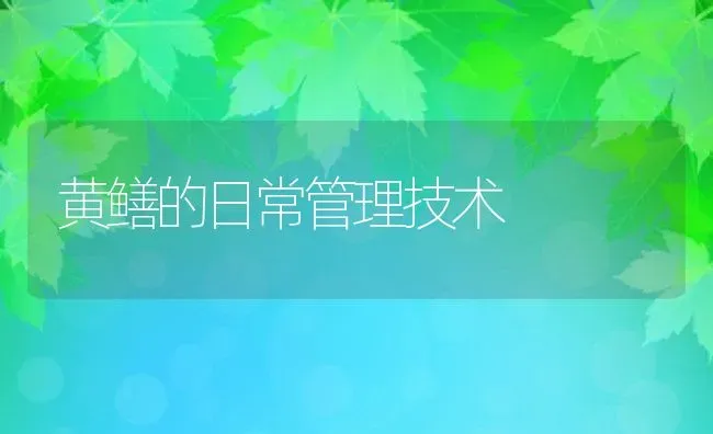 黄鳝的日常管理技术 | 动物养殖百科