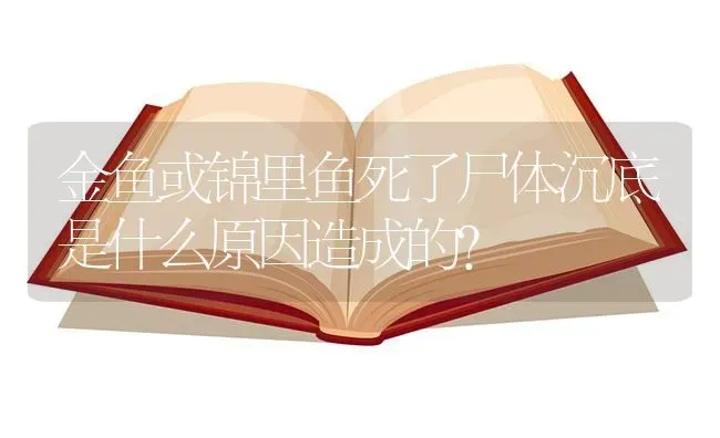 金鱼或锦里鱼死了尸体沉底是什么原因造成的？ | 鱼类宠物饲养