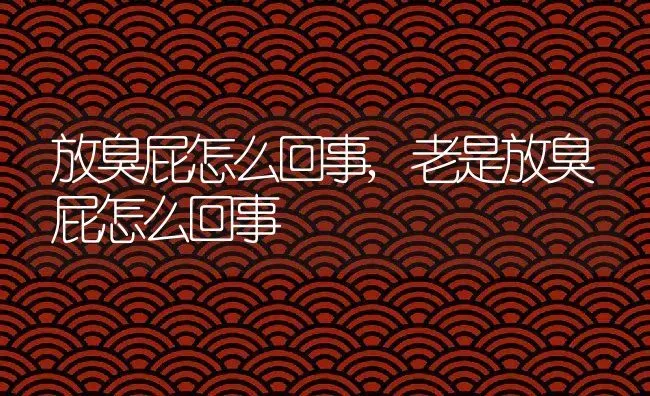 放臭屁怎么回事,老是放臭屁怎么回事 | 宠物百科知识