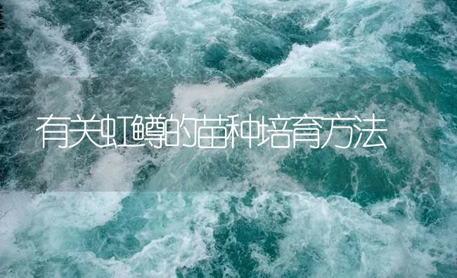 有关虹鳟的苗种培育方法 | 海水养殖技术